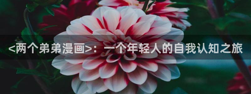 汗汗漫画免费视频：<两个弟弟漫画>：一个年轻人的自我认知之旅