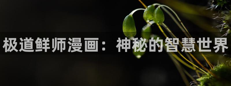 汗汗漫画ssss：极道鲜师漫画：神秘的智慧世界