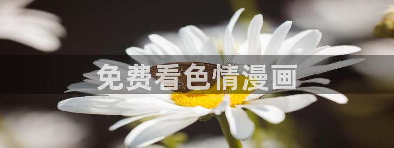 yy汗汗漫画：免费看色情漫画